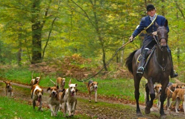 una asociación denuncia la práctica de caza con perros de caza en sus terrenos: Noticias