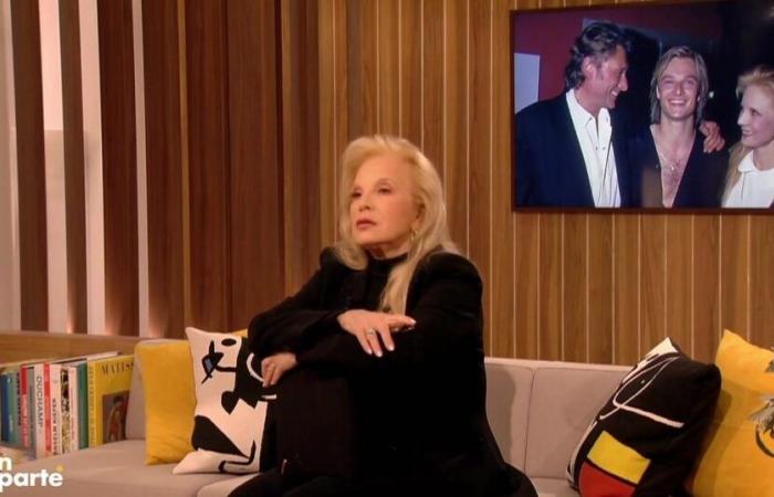 Sylvie Vartan y Johnny Hallyday víctimas de un grave accidente: “Un año terrible”