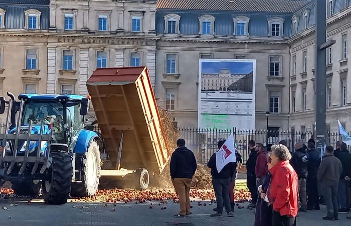 Para los viticultores de Côtes du Rhône, un año turbulento que no cambió nada