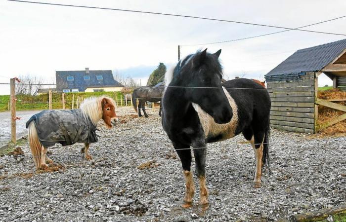 Un proyecto de casa multipedagogía en Finisterre.