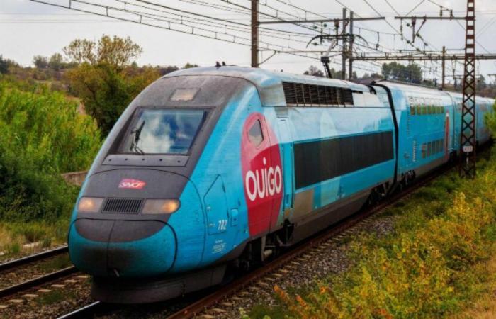 Los sindicatos advierten sobre el estado de los trenes TGV Ouigo: Noticias