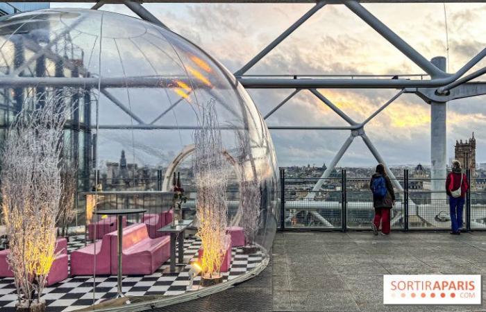 la terraza de invierno del restaurante George en lo alto del Centro Pompidou