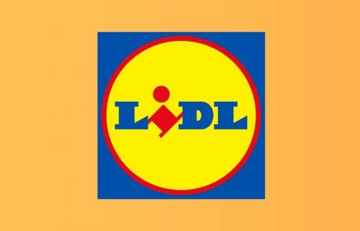 Lidl da un gran golpe con estas 5 ofertas de bricolaje Parkside a precios récord