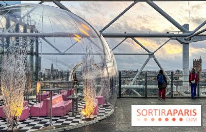 la terraza de invierno del restaurante George en lo alto del Centro Pompidou