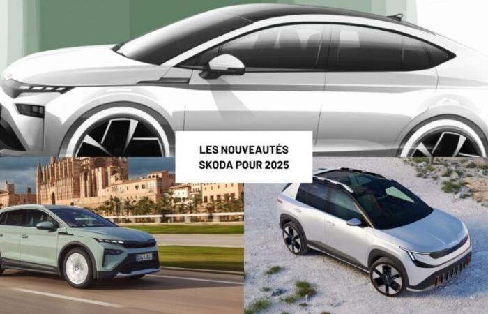 Los nuevos productos de Skoda en 2025, un programa eléctrico y sin duda épico