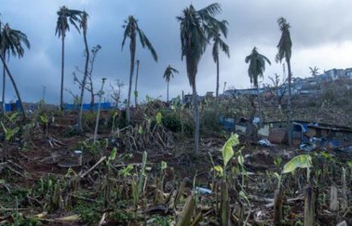 Tres semanas después del ciclón, ¿cuál es la valoración medioambiental de los daños en Mayotte?