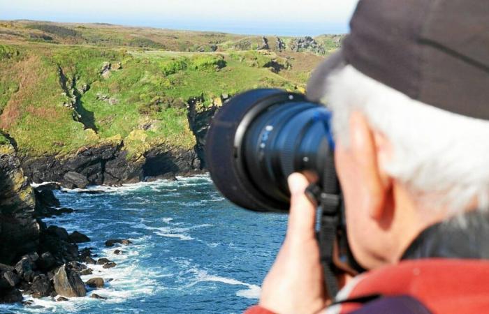 En la Reserva Natural de Groix, el año 2025 vuela con los pájaros