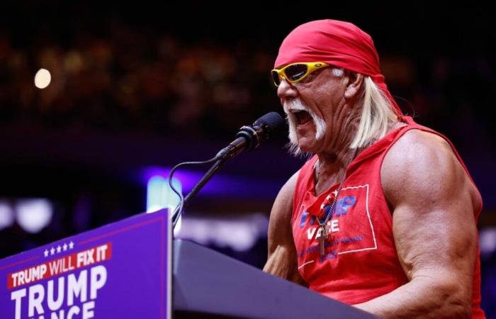 WWE no necesita a Hulk Hogan