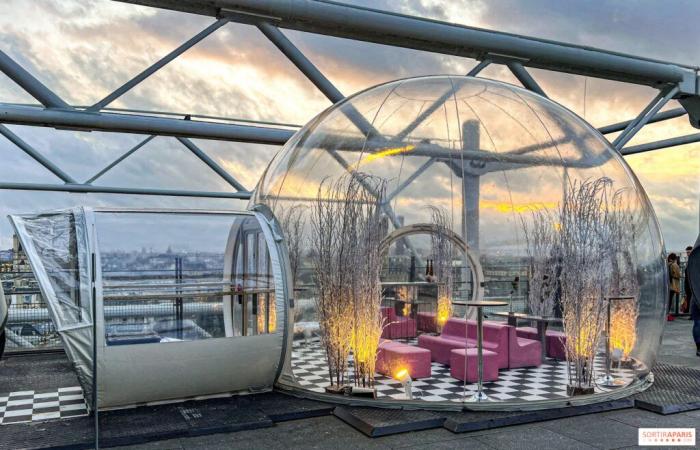 la terraza de invierno del restaurante George en lo alto del Centro Pompidou