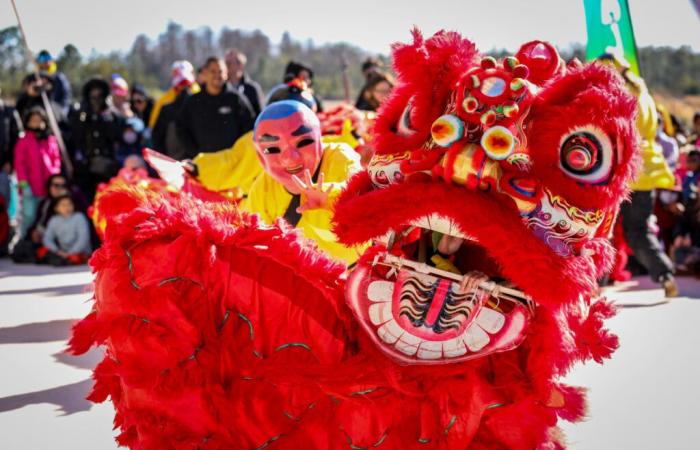 Año Nuevo chino – Lunar 2025 en Triel-sur-Seine, en Yvelines (78): ¡desfile y entretenimiento!