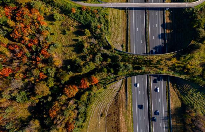 Desde el 1 de enero, los precios de esta autopista en Francia se han disparado