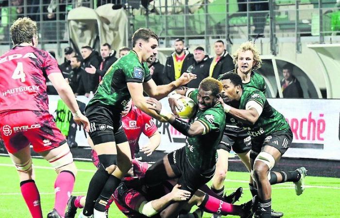 Pro D2. Montauban recupera fuerzas antes de pasar a la primera