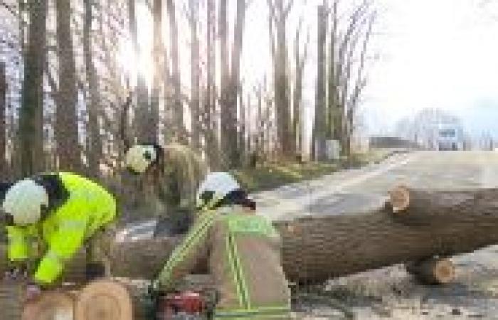 ¿Por qué el clima parece completamente aleatorio estos últimos días? “Es algo que incluso es bastante común”