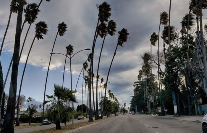 “El sur de California se prepara para una tormenta de viento ‘que pone en peligro la vida'”. Esto es lo que debes saber