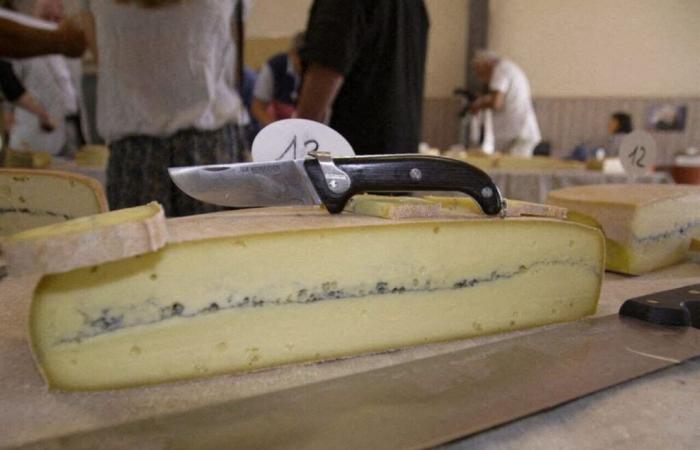 Después de la casa Comté, ¿pronto una casa Morbier?