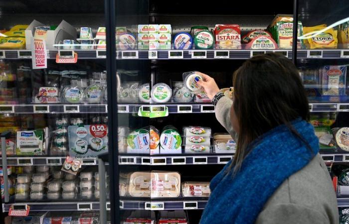 Los precios al consumo aumentaron un +1,3% en diciembre de 2024 interanual.