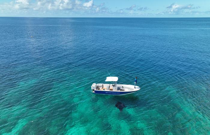 Una mujer suiza explora el océano en Seychelles.