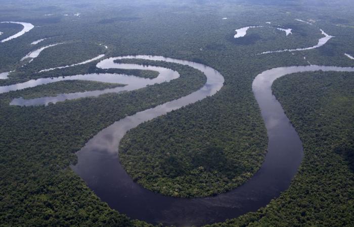 Una cuarta parte de los animales de agua dulce están en peligro de extinción