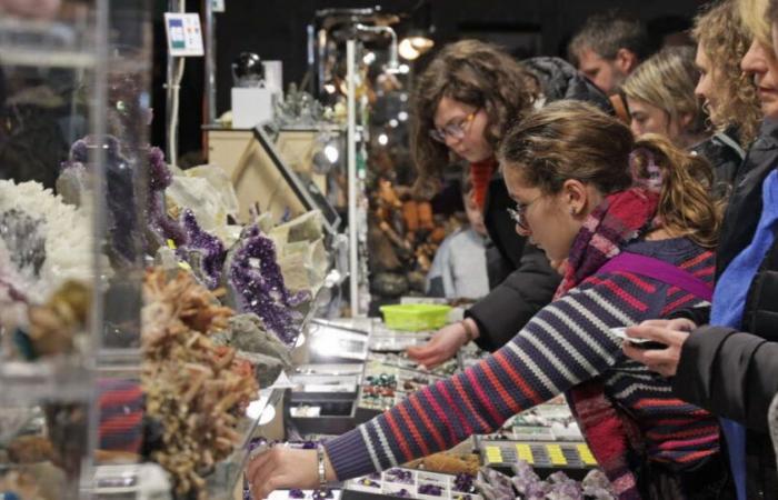 Las maravillas de la Tierra se exponen en Mulhouse.