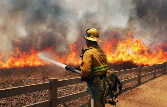 Cómo ayudar a los bomberos de Los Ángeles y a la comunidad durante los incendios forestales