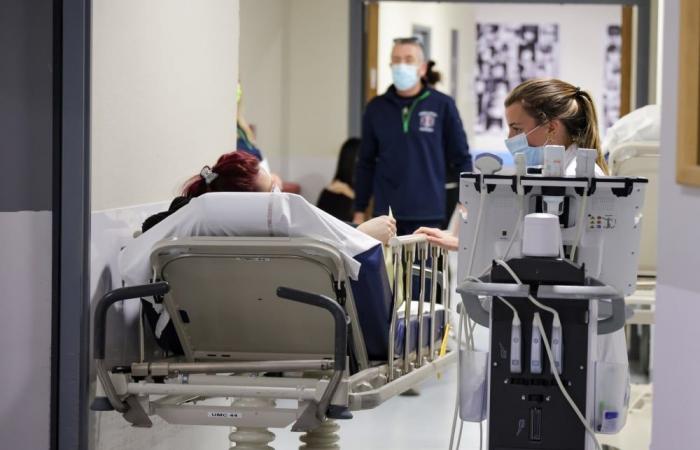 En Provenza, la gripe presiona a los hospitales