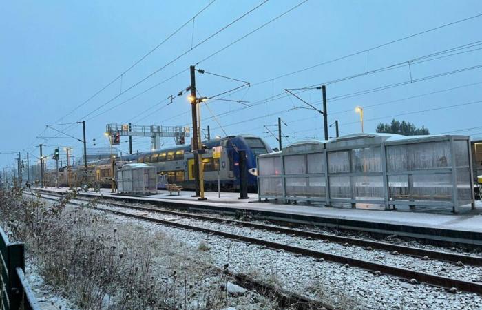 ¡La nieve llegó al Norte este miércoles! Aquí tenéis las primeras fotos de los paisajes blancos.