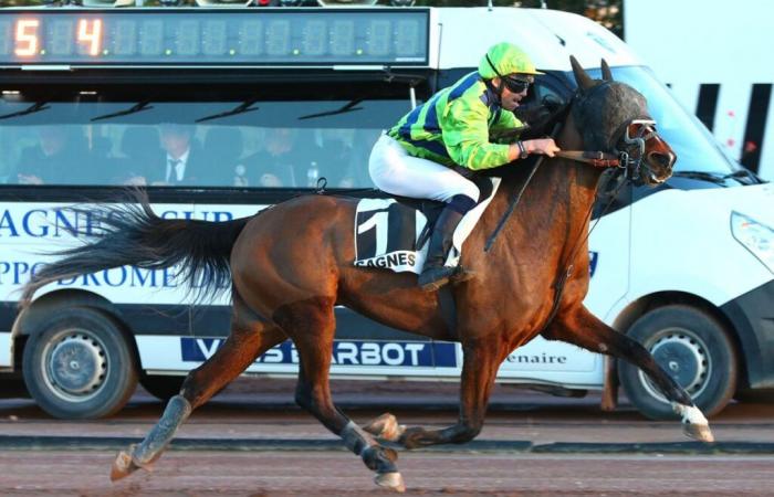 09/01/2025 en Cagnes: Java d’Ecajeul como jefe