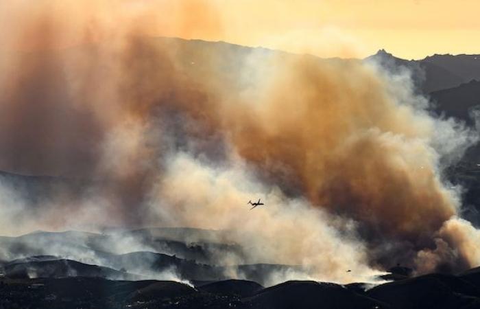 Incendios en Los Ángeles: 10 muertos y miles de viviendas quemadas