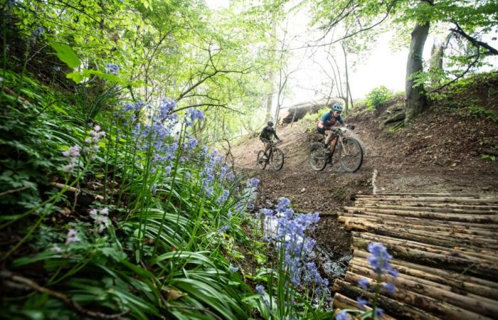 Open MTB Tour y Dusty Gravel Series, dos nuevas series en Bélgica a partir de 2025 ⋆ Vojo