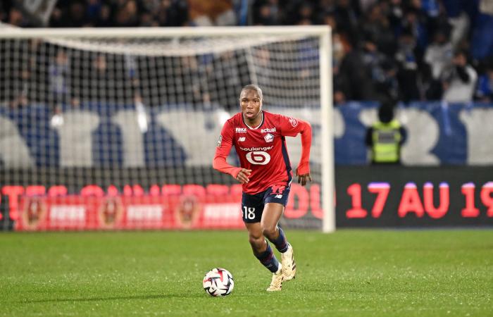 La reacción de los Mastines tras el Auxerre-LOSC