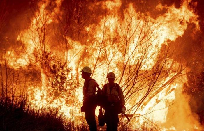 Incendios en California: al menos diez muertos, Trump acusa a las autoridades de incompetencia