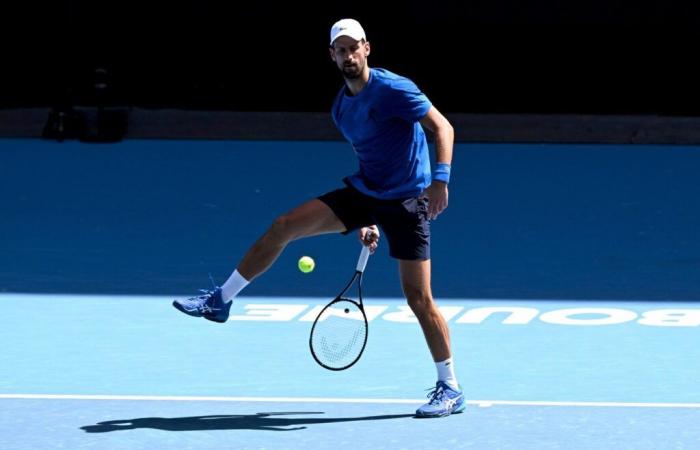 En su bastión de Melbourne, “Djoko” parte nuevamente a cazar a Sinner y las Majors