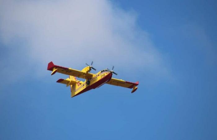 Incendios en California: un avión de Quebec en tierra tras ser dañado por un dron