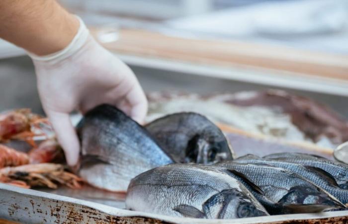 Este pescado que todos consumimos es peligroso para nuestra salud, no debemos excedernos según un estudio