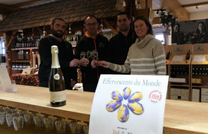 Wuenheim. Un crémant orgánico adornado con oro en la bodega cooperativa Vieil Armand