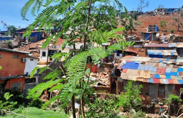 El “shock” para los residentes que regresan a Mayotte tras el paso del ciclón