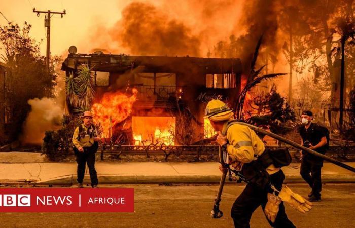 Incendios de Los Ángeles: 3 razones por las que son ‘los más destructivos’ en la historia de la ciudad