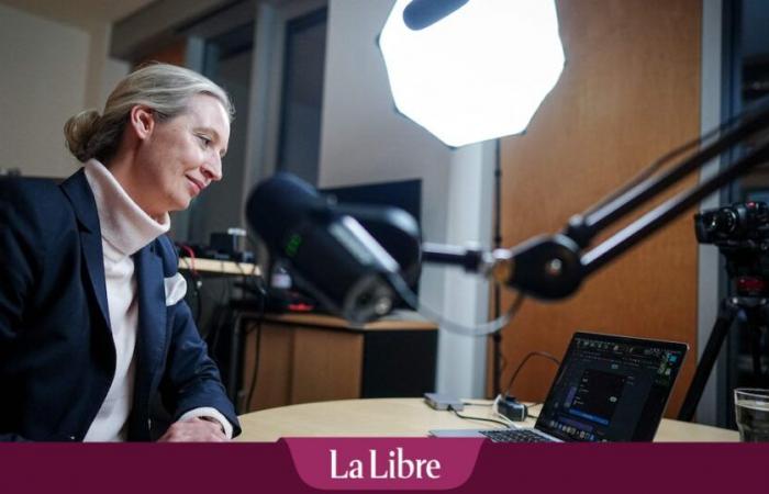 Con Alice Weidel, el partido de extrema derecha alemán AfD elige una figura atípica