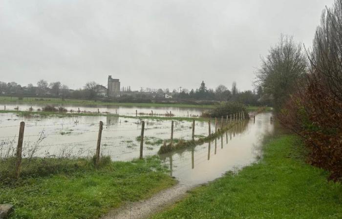 Inundaciones en La Guierche: una veintena de vecinos evacuados, ganado rodeado de agua