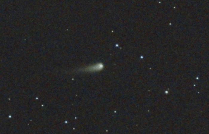 Un cometa poco común pronto podría brillar tanto como Venus