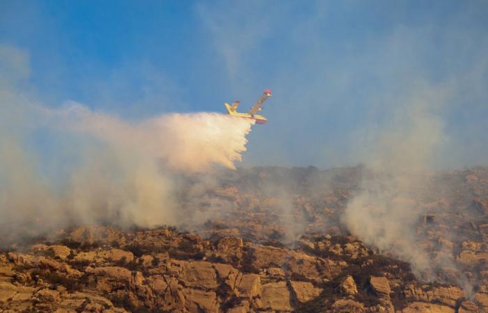 Los Ángeles | Más aviones cisterna canadienses se preparan para partir hacia Los Ángeles