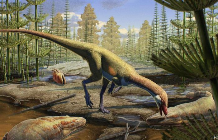 Investigadores han hecho un descubrimiento en América que podría reescribir la historia de los dinosaurios