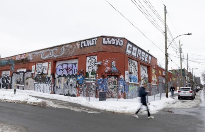 “Se convirtió en el Salvaje Oeste” | El número de graffitis aumenta en Montreal