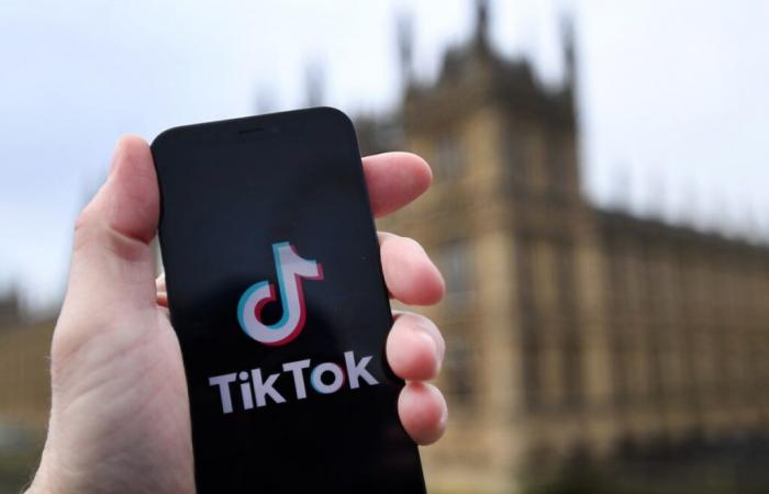 TikTok acumula usuarios y reveses