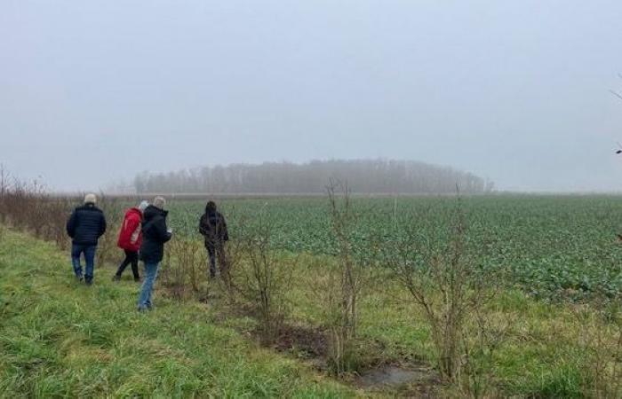 Dijon: una granja experimental sin pesticidas anticipa el futuro