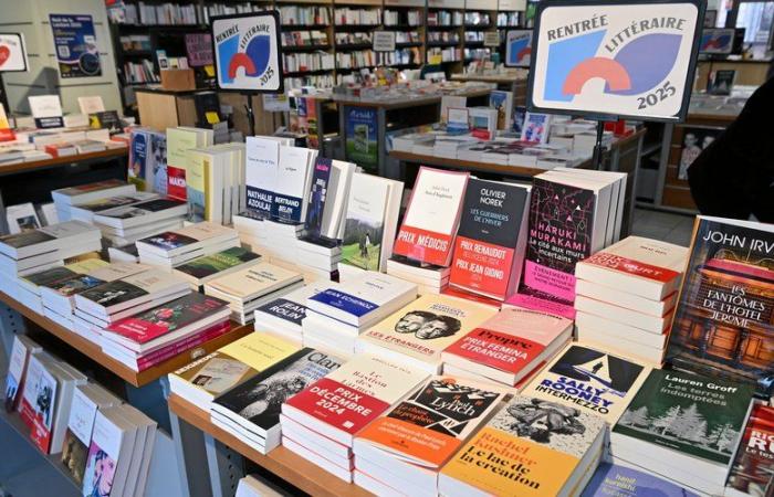 Slimani, Lemaire, Beigbeder, Springora, Grangé, Ferey: se esperan 500 novelas para un “pequeño retorno” literario