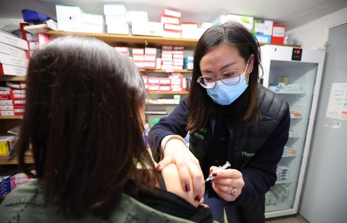 La gripe gana terreno en Charente, los hospitales y los consultorios médicos intentan resistir