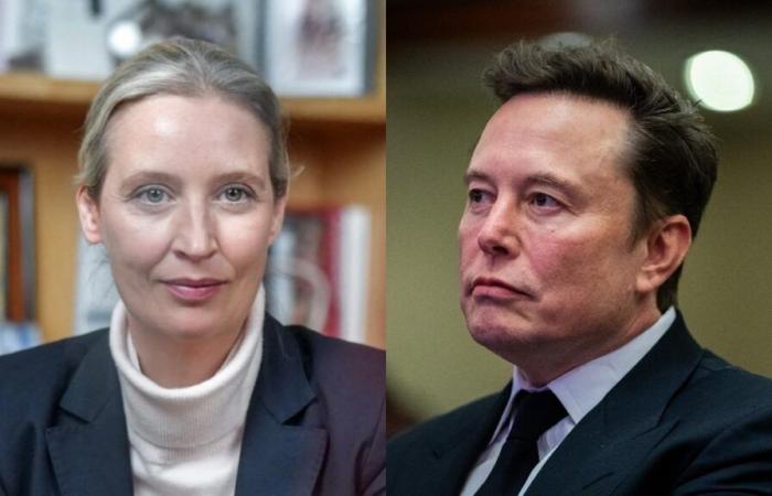 De Hitler a los marcianos, el alucinante intercambio entre Elon Musk y el líder de la extrema derecha alemana