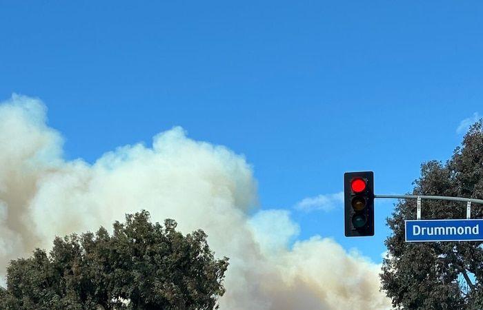 Incendios en Los Ángeles: “Todo Pacific Palisades había desaparecido”, lamenta una canadiense