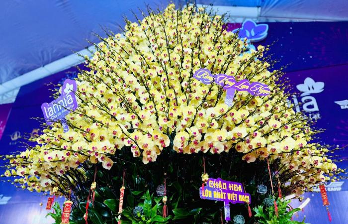 Primer plano de una maceta de orquídeas Phalaenopsis bañada en oro y tachonada de diamantes a la venta por casi 4.000 millones de VND